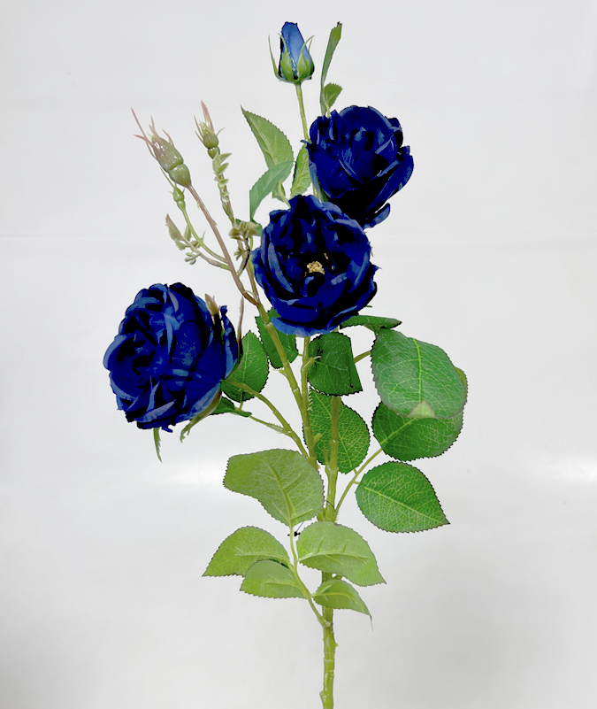 Větev růže WIILD 75cm S755  24/240