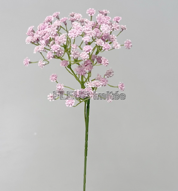 Gypsophila latex 60cm S455 12/96