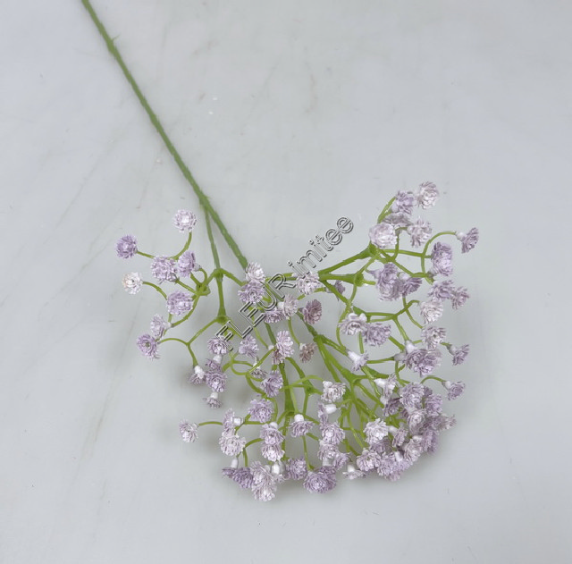 Gypsophila latex 60cm S455 12/96