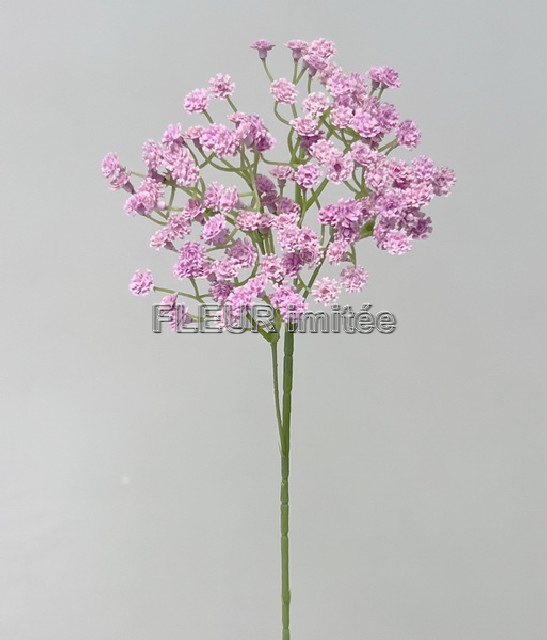 Gypsophila latex 60cm S455 96/960