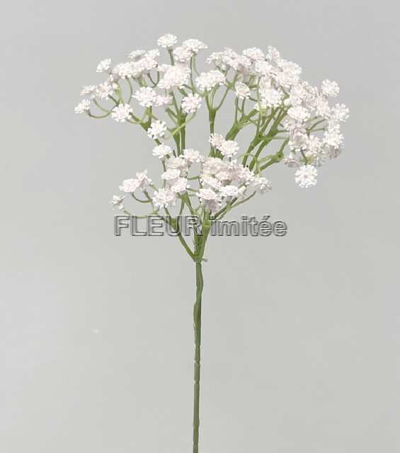 Gypsophila latex 60cm S455 96/960