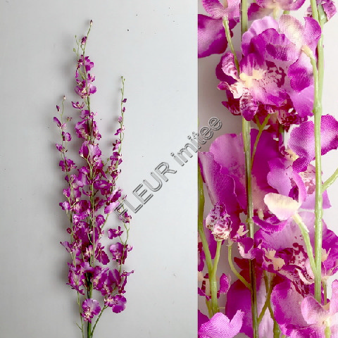 Orchidea dendr.110cm 1/80