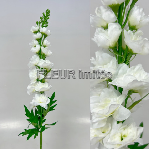 Delphinium 70cm S498  24/288