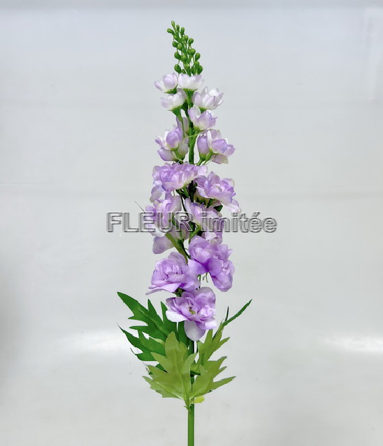 Delphinium 70cm S498  24/288