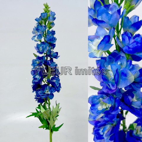 Delphinium 70cm 24/288