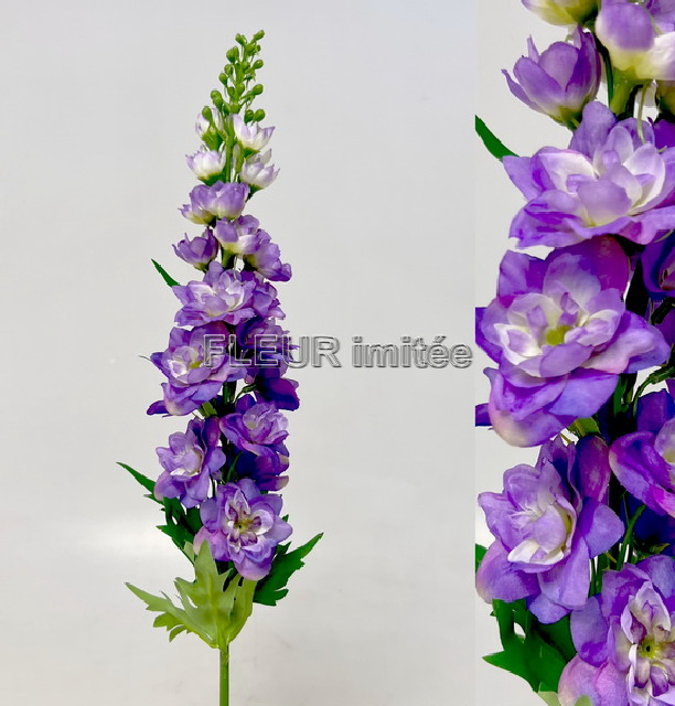 Delphinium 70cm S498  24/288