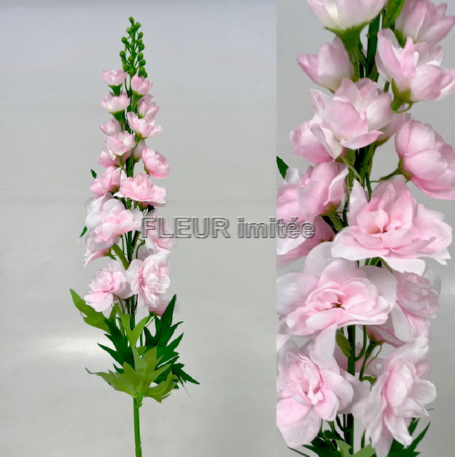 Delphinium 70cm S498  24/288