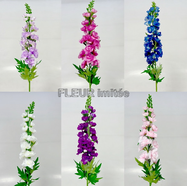 Delphinium 70cm S498  24/288