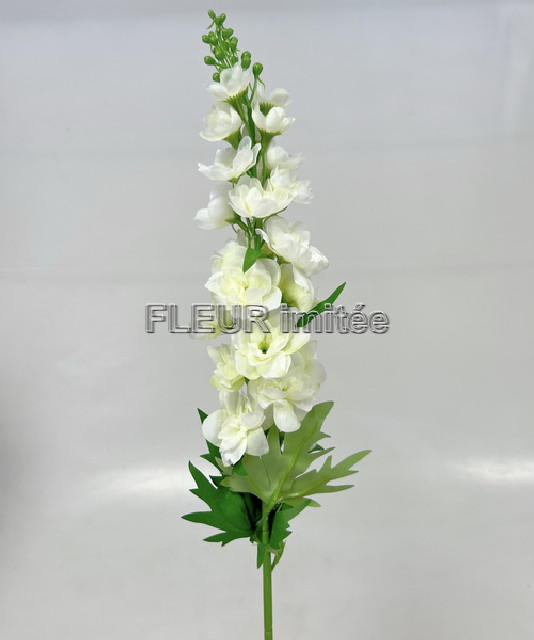 Delphinium 70cm S498  24/288