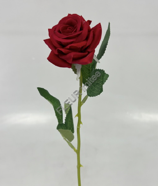 Růže x1 mini 50cm 12/120