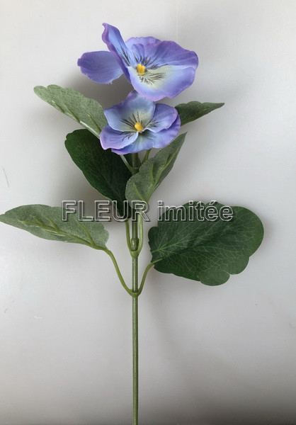 Maceška záp.20cm 12/240