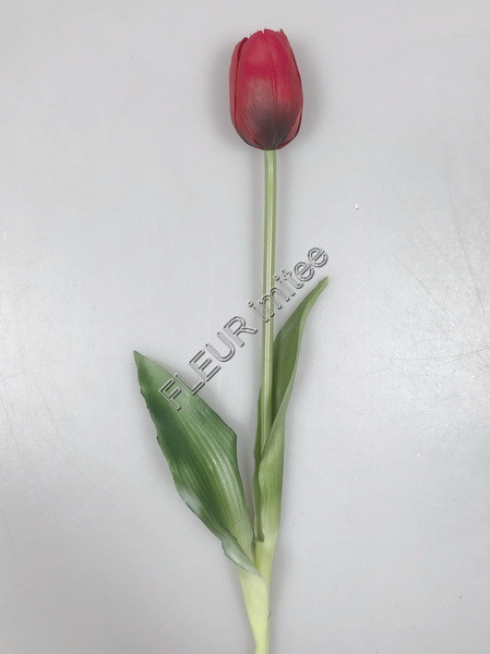 Tulipán x1 latex 40cm 12/96