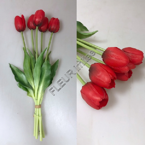 Tulipán x5 latex 40cm 12/96