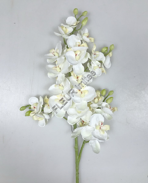 Orchidea x4 70cm  48/240