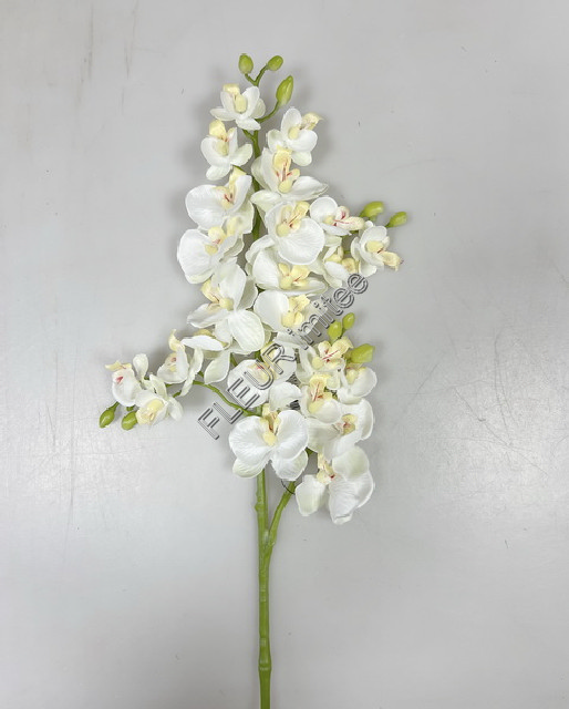 Orchidea x4 70cm  48/240
