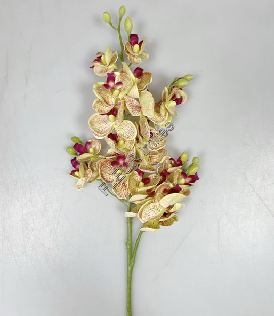 Orchidea x4 70cm  48/240
