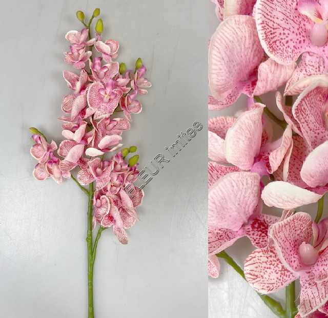 Orchidea x4 70cm  48/240