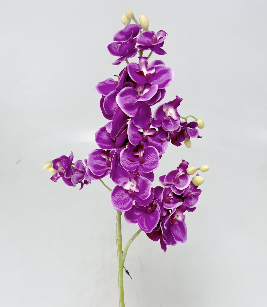 Orchidea x4 70cm  48/240