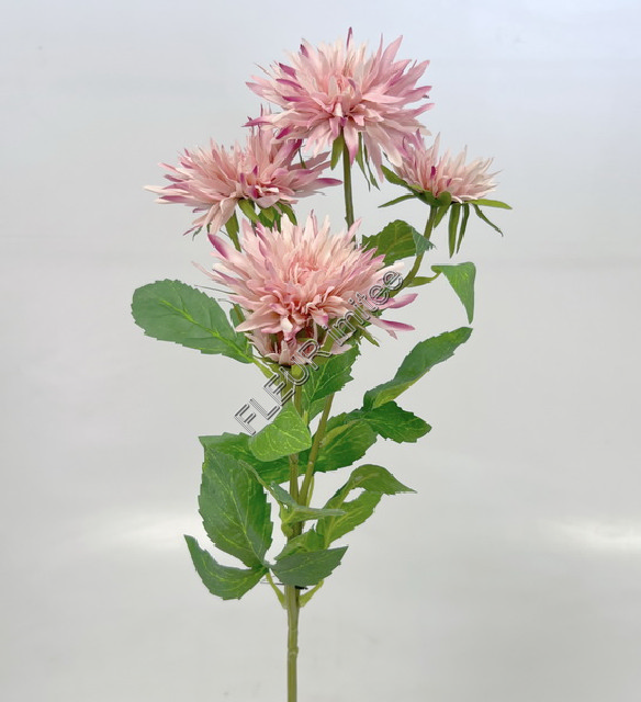 Chryzantéma x5 72cm S662 24/480