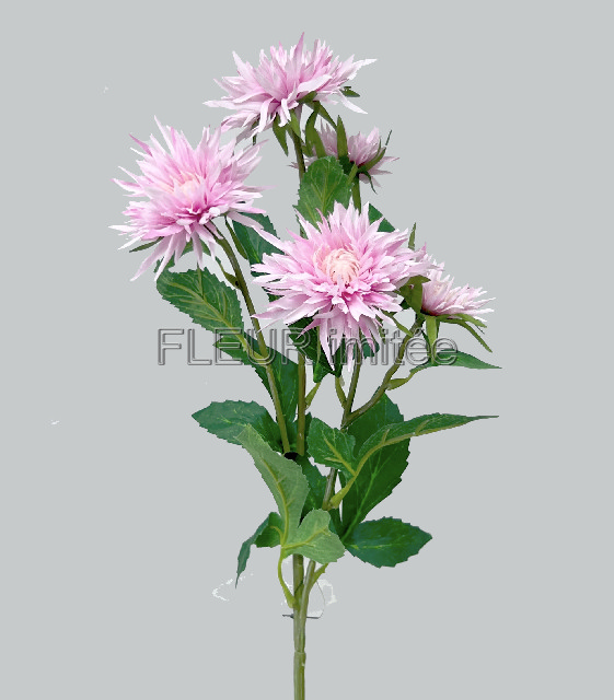 Chryzantéma x5 72cm S662 24/480
