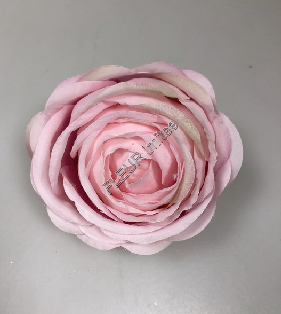 Květ růže Cabbage 7cm 12/480