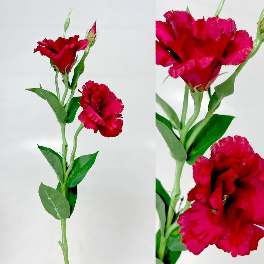 Eustoma x3 60cm S377  48/288