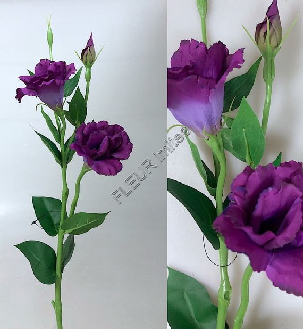 Eustoma x3 60cm S377  48/288