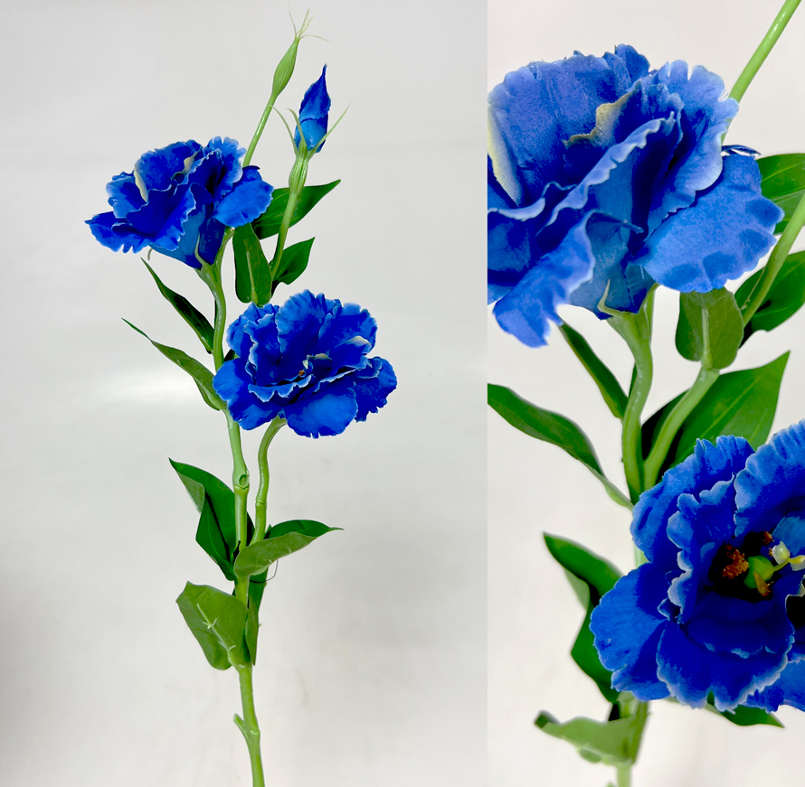 Eustoma x3 60cm S377  48/288