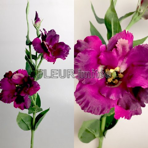 Eustoma x3 60cm S377  48/288