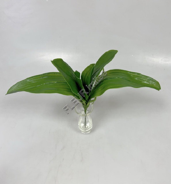 Listy orchidea x7 35cm 24/120