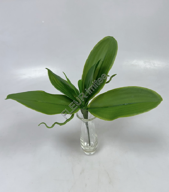 Listy orchidea x7 35cm 36/360