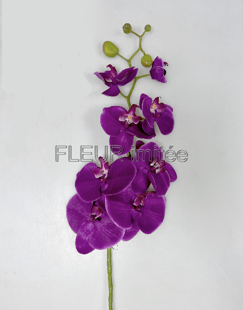 Orchidea  phal.96cm 24/120