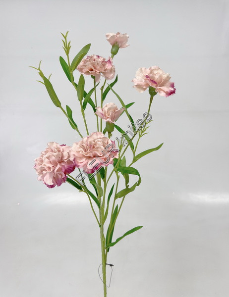 Karafiát mini x6 72cm  36/360