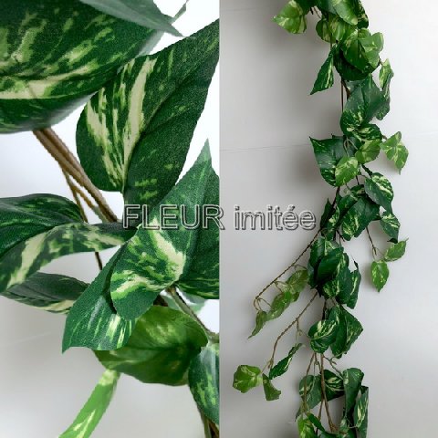 Girlanda pothos 160cm 12/72