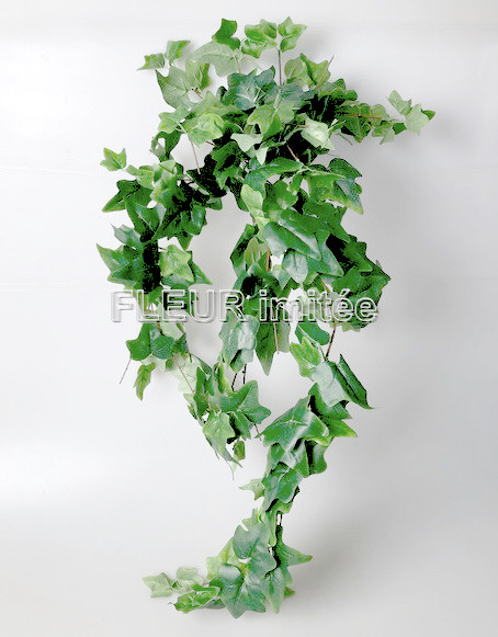 Břečťan 90cm BL025