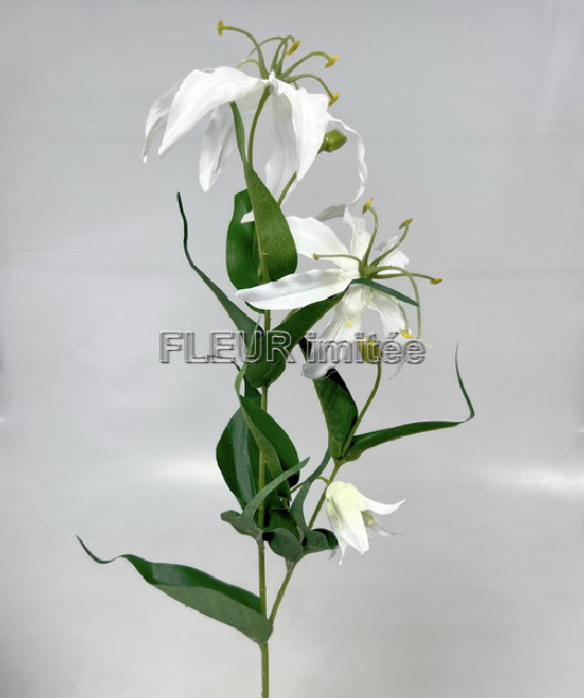 Gloriosa x3 80cm 18/180