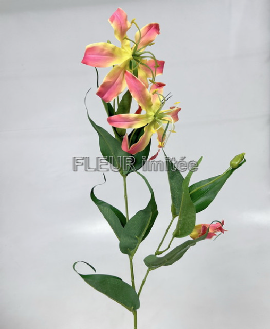 Gloriosa x3 80cm 18/180