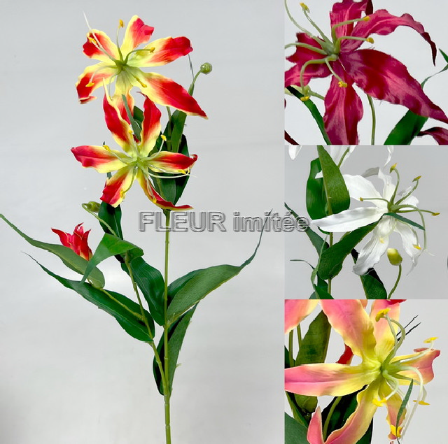 Gloriosa x3 80cm 18/180