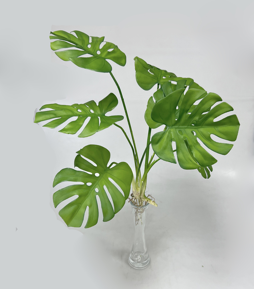 Monstera x5 latex 70cm 1/24