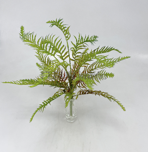 Kapradí x1055cm 36/216