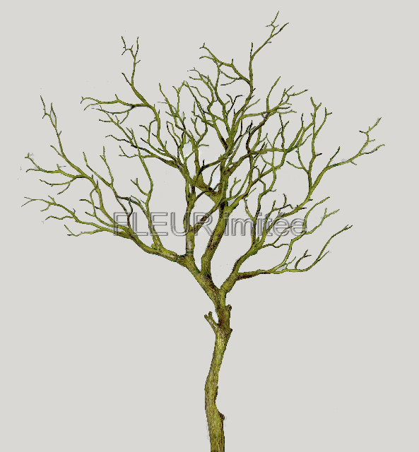 Větev dřevo 93cm 12/60