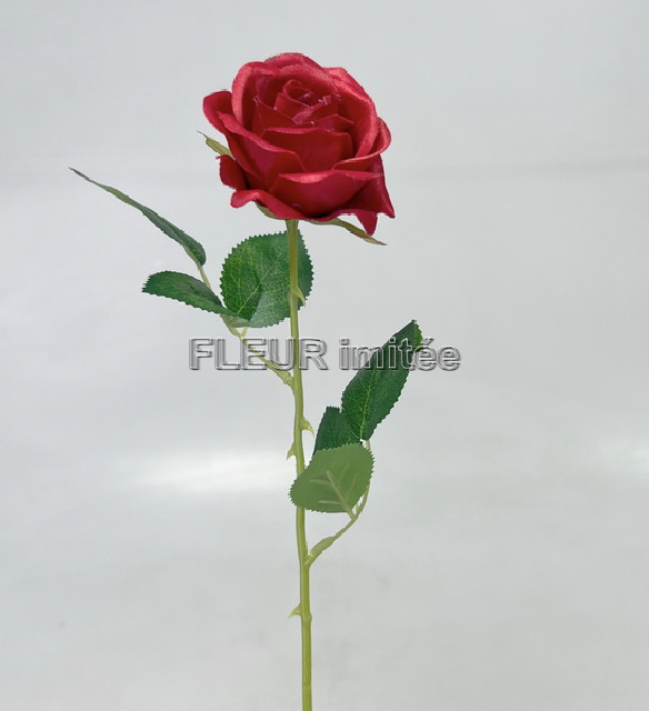 Růže ART II  55cm  12/144