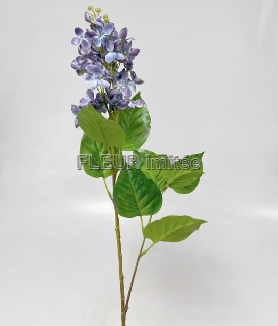 Bez 73cm 24/192