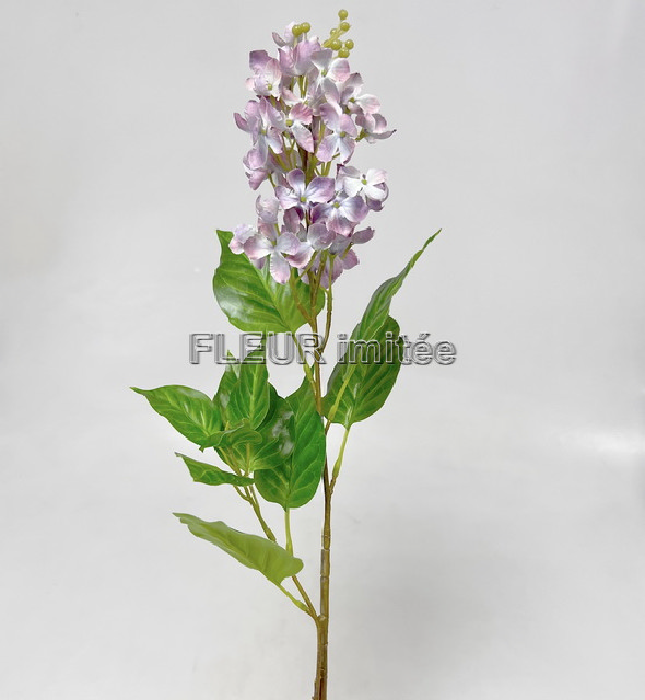 Bez 73cm 24/192