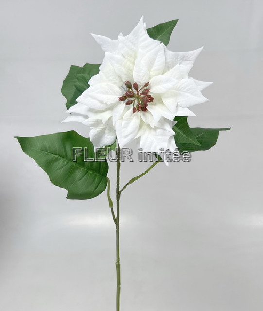 Poinsettia x1 72cm velvet 24/240