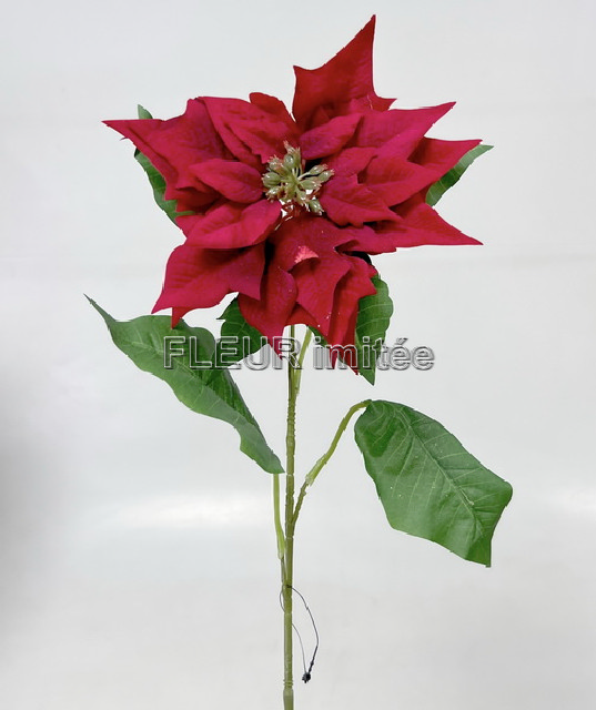 Poinsettia x1 72cm velvet 24/240
