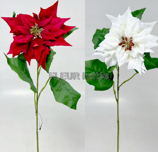 Poinsettia x1 72cm velvet 24/240