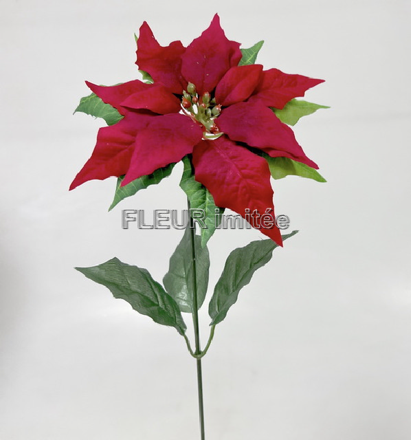 Poinsettia  x1  60/18cm 6/120