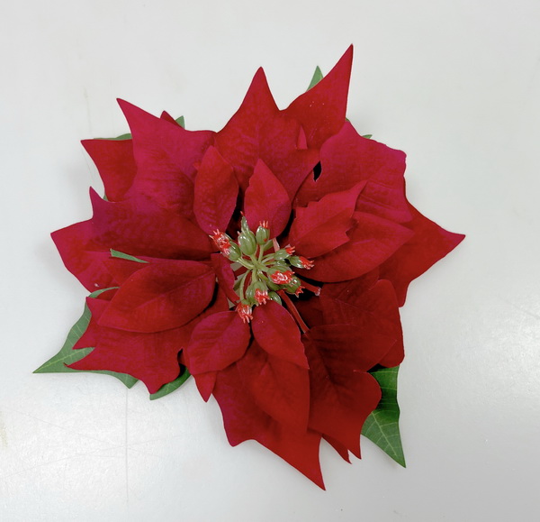 Květ poinsettia 18cm  6/120