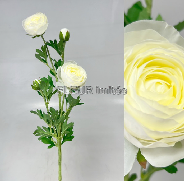 Ranunculus x3 72cm  18/180